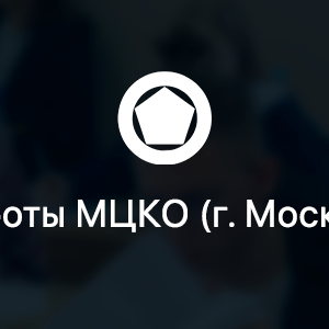 МЦКО по Алгебре 8 класс (Базовый уровень) г. Москва (77 регион) 2024-2025 гг. (задания и ответы)